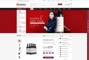 道和酒業(yè)網(wǎng)站建設(shè)解決方案